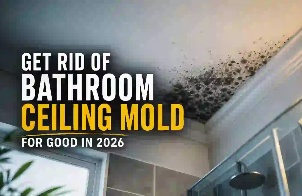 How to Get Rid of Bathroom Ceiling Mold for Good in 2026