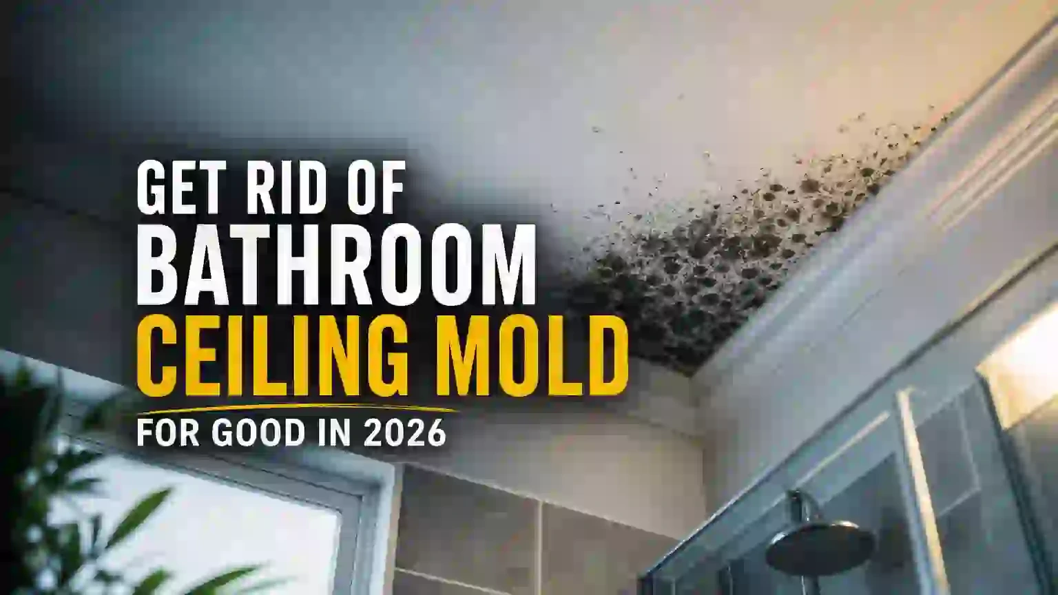 How to Get Rid of Bathroom Ceiling Mold for Good in 2026
